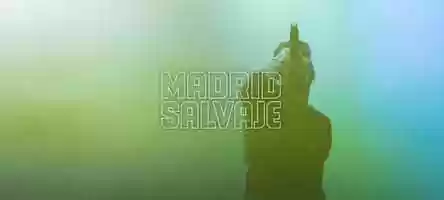 Free download Madrid Salvaje - Hard GZ - Large Version [Prod. DMT FILMS] video and edit with RedcoolMedia movie maker MovieStudio video editor online and AudioStudio audio editor onlin